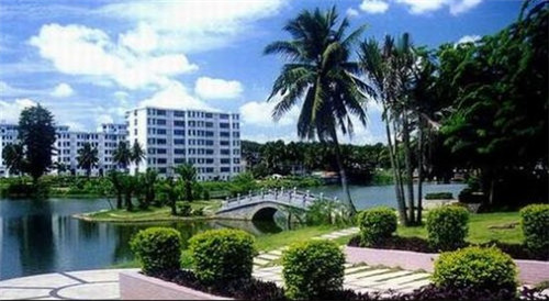 摊果香煎饼果儿