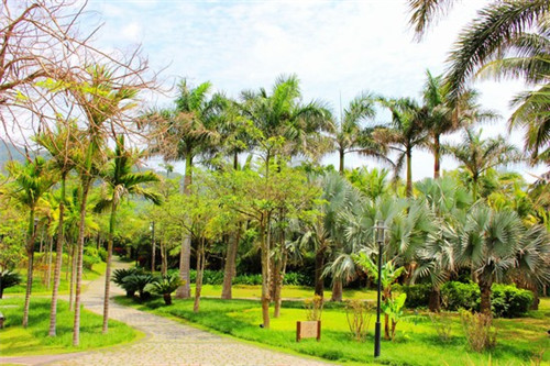 姐夫家的小火锅