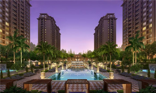 血站大盘鸡6大奇招