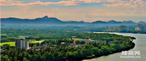 皇冠猴的茶奶茶