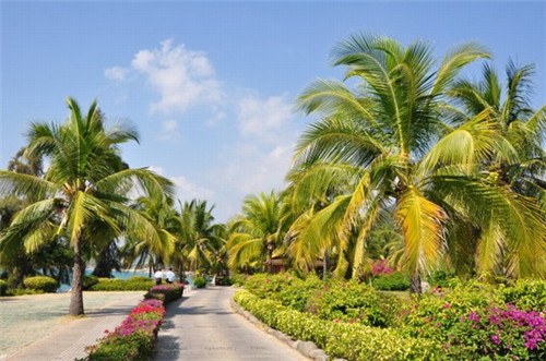 火锅店的小吃铺设计方案