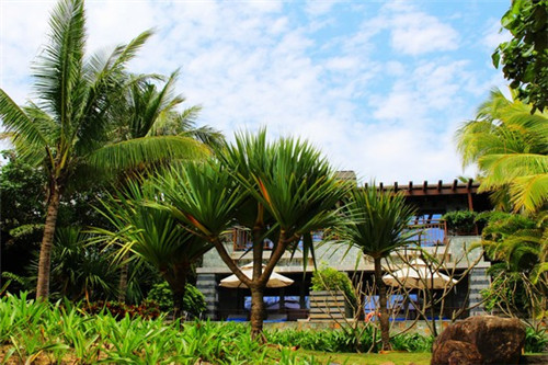 濮阳饮品店创业费多少钱一个月，饮品店创业加盟