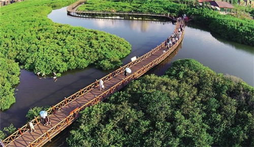 2025智能家电加盟店哪些项目有优势，2025智能家电加盟店哪些项目有优势呢