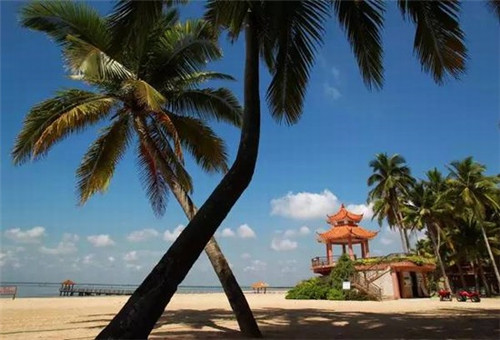 元氏县的胡一刀传统刀面加盟商多吗