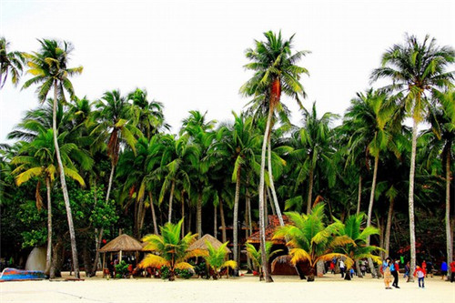 江西小冒菜加盟费多少