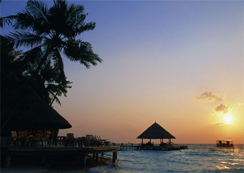 乐可茶饮知名度大吗，乐可茶饮为什么这么受欢迎