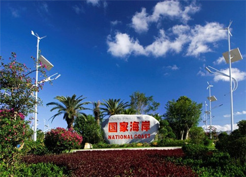 凌晨想起你的照片是什么歌（想你想到凌晨）