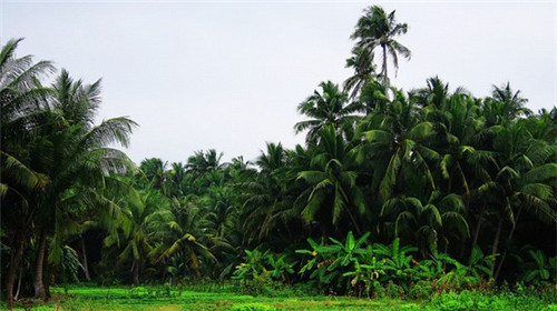 快手好看字幕怎么添加（快手好看字幕怎么添加到视频里）